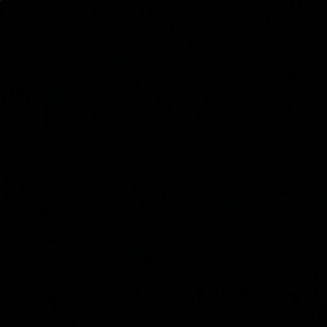 Meet your Posher, Parker